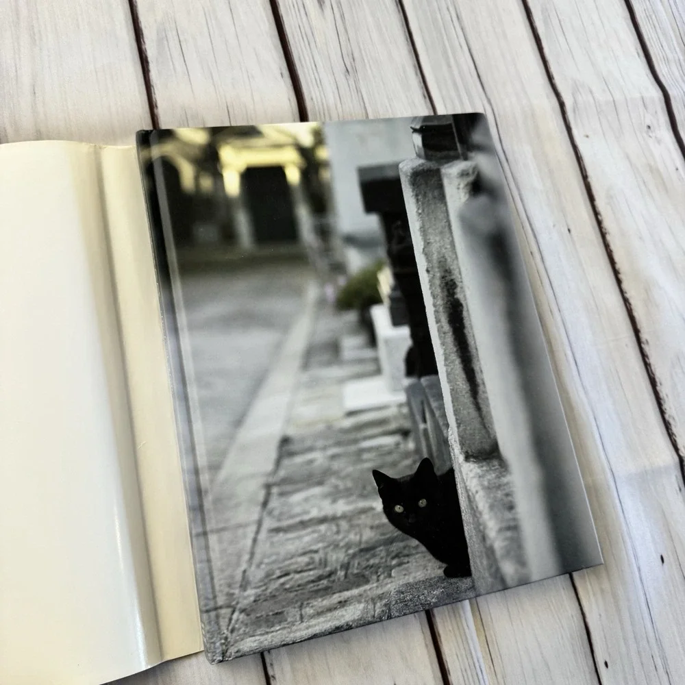 The‎ French Cat Photographs Rachael Hale McKenna Hardcover